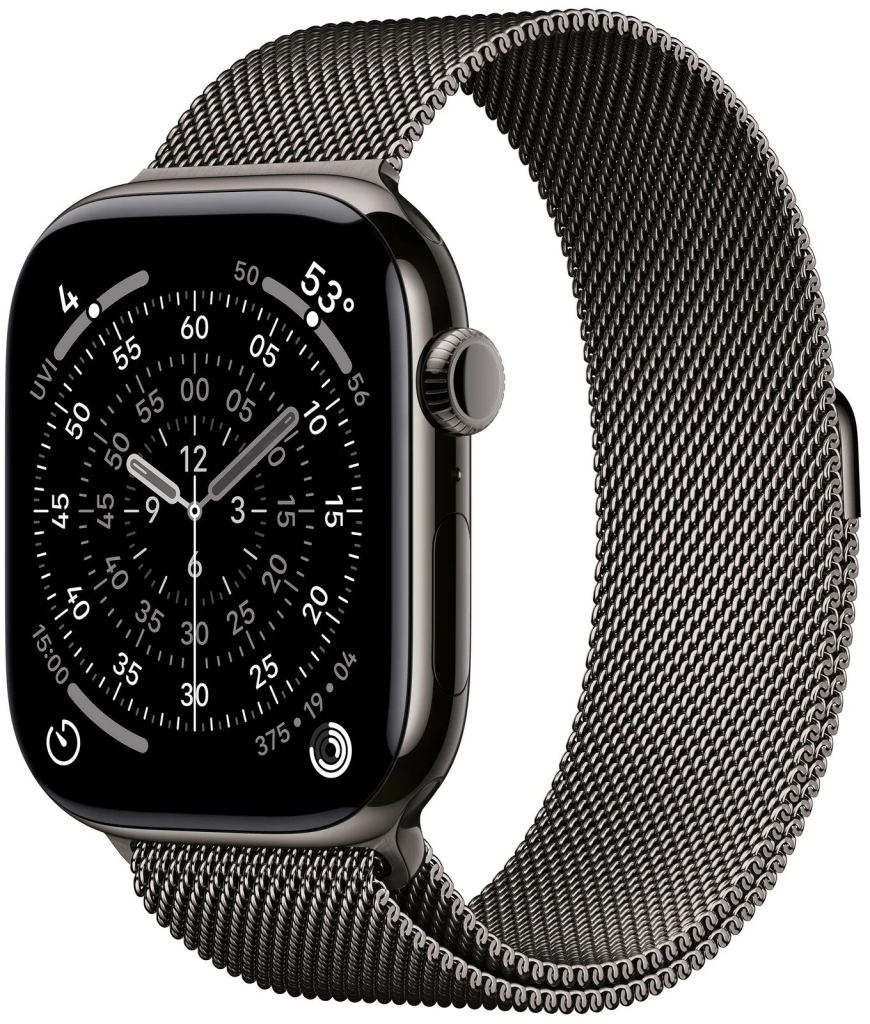 Apple Watch Series 11 Cellular 46mm Elegant Band/Slate MFD44WF/A