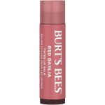 Burt´s Bees Tinted Lip Balm balzám na rty Red Dahlia 4,25 g – Sleviste.cz