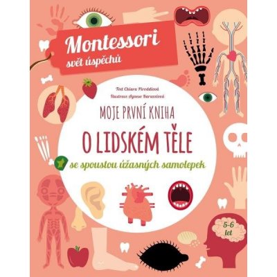 Moje první kniha o lidském těle - Chiara Piroddi – Hledejceny.cz
