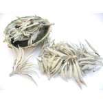 U Džoudyho Šalvěj bílá 30 g – Zboží Dáma