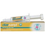 Ceva Diarsanyl pasta 10 ml – Zboží Mobilmania