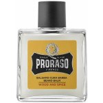 Proraso Wood & Spice balzám na vousy 100 ml – Sleviste.cz