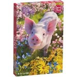 Cherry Pazzi Máš mě rád? 500 dílků – Sleviste.cz