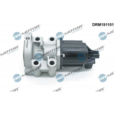 AGR-Ventil Dr.Motor Automotive DRM191101 – Hledejceny.cz