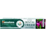 Himalaya Herbals zubní pasta s přírodním fluorem 100 g – Hledejceny.cz