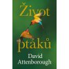 Kniha Život ptáků - David Attenborough