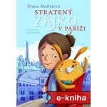 Stratený zajko v Paríži - Diana Mašlejová – Hledejceny.cz