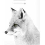 MFP Paper školní sešit A4 444 – Sleviste.cz