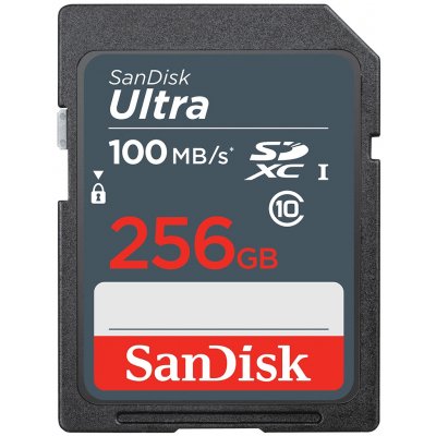 SanDisk SDXC UHS-I 256 GB SDSDUNR-256G-GN3IN – Zbozi.Blesk.cz