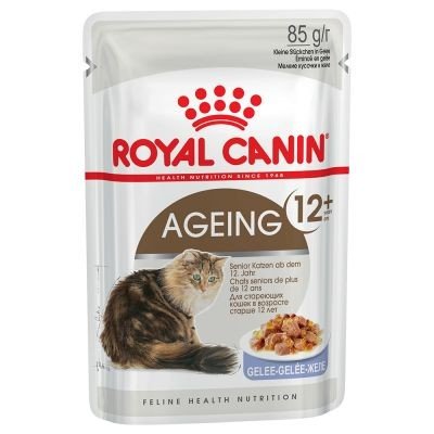 Royal Canin Ageing 12+ Jelly 12 x 85 g – Hledejceny.cz