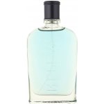 Replay Jeans Spirit! toaletní voda pánská 75 ml tester