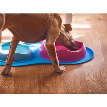 Beco Pets BECO Miska pro pejsky L 26 cm