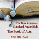 Book of Acts: The Voice Only New American Standard Bible NASB – Hledejceny.cz