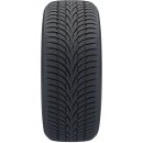 Nokian Tyres WR D3 225/45 R17 91H