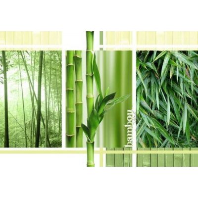 Impol Trade 2-180VE vliesová fototapeta bambus koláž 310 cm x 219 cm – Zboží Mobilmania