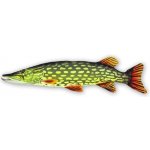 Gaby Štika obecná 80 cm – Zboží Dáma