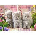 Castorland Tři šedá koťátka 260 dílků – Zboží Mobilmania