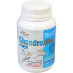 Orling - Chondrocan Forte 150 g – Hledejceny.cz