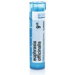 EUPHRASIA OFFICINALIS POR 30CH GRA 1X4G – Hledejceny.cz