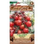 MoravoSeed CZ a.s. MoravoSeed Rajče tyčkové třešňové RUBINKA – Hledejceny.cz
