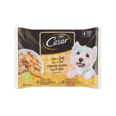 Cesar Selection v želé 4pack 400 g – Zboží Mobilmania