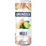 Amundsen Mule vodka & zázvor & limeta & soda 6% 0,25 l (plech) – Zboží Dáma