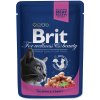 Brit Cat Premium s lososem & pstruhem v omáčce 100 g