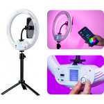 Viltrox Weeylite WE-9 RGB barevné kruhové 10" – Zboží Živě