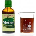 Bylinné kapky Potočnice tinktura 50 ml – Hledejceny.cz
