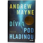 Dívka pod hladinou - Andrew Mayne – Hledejceny.cz