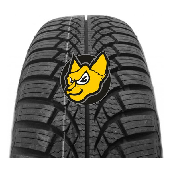 Osobní pneumatika Esa Tecar SuperGrip 9 195/65 R15 91T