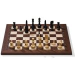 DGT Elektronické šachy DGT Smart Board s plastovými figurami + brašna (AKČNÍ CENA) – Zboží Dáma