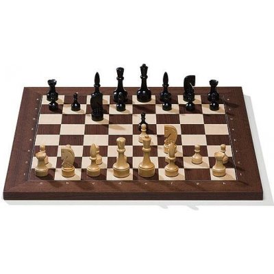 DGT Elektronické šachy DGT Smart Board s plastovými figurami + brašna (AKČNÍ CENA) – Zboží Dáma