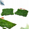 Akvarijní rostliny – Sleviste.cz