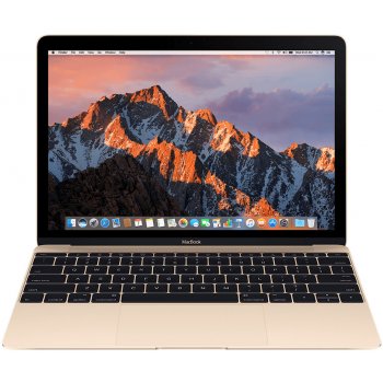 Apple MacBook MLHF2CZ/A