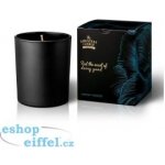 The Greatest Candle in the World Jasmine Wonder 170 g – Sleviste.cz