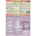 Tabulky rozvoje dítěte 0-3 rok tabulka A4 MC Brno – – Zboží Mobilmania