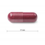 Jamieson Resveratrol 50 mg extr.z červ.vína 30 kapslí – Hledejceny.cz