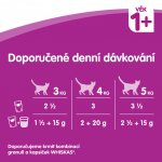 Whiskas pro dospělé kočky klasický výběr ve šťávě 12 x 100 g – Hledejceny.cz