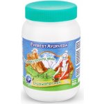 Everest Ayurveda Ajurvédský bylinný elixír Chyawanprash 300 g – Hledejceny.cz