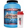 Gainer Aminostar Actions Whey Gainer 4500 g
