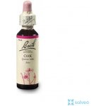 Bachovy květové esence Dub letní Oak 20 ml – Hledejceny.cz