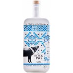 Gin Black Pig Costa Alentejana 40% 0,5 l (holá láhev) – Sleviste.cz