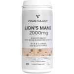 Vegetology Vegan Lion's Mane Korálovec ježatý 2000 mg + B-Komplex 60 kapslí – Hledejceny.cz