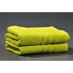 Profod Classic froté ručník velký 400 g/m2 50 x 100 cm zelená pistáciová – Sleviste.cz