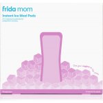 Frida Mom chladicí absorpční Ice Maxi vložky – Zbozi.Blesk.cz