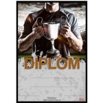 DZ90e Diplom Gladiator univerzální – Zboží Mobilmania