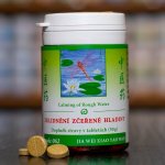 TCM Herbs Zklidnění zčeřené hladiny 100 tablet – Zboží Mobilmania