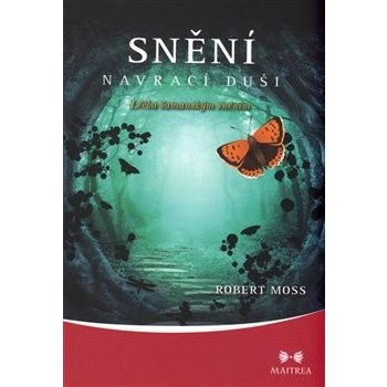 Snění navrací duši - Léčba šamanským sněním - Moss Robert