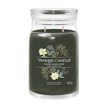 YANKEE CANDLE Signature Silver Sage & Pine 567 g